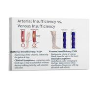 KCDFDVJFBM Varicose Veins Reference Poster - Detailed Infographic on Risk Factors and Clinical Signs - Essential for Training, Consultation Rooms, Health Centers(Framed,08x12inch(20x30cm))