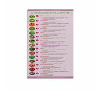 KCDFDVJFBM Vegetable Garden Companion Planting Canvas Painting Guide and Reference Wall-Art Home Decor for Kitchen Living Room Office(Framed,12x18inch(30x45cm))