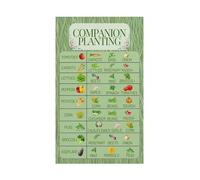 KCDFDVJFBM Vegetable Garden Companion Planting Reference Chart Educational Wall-Art Print Poster for Kitchen Garage Classroom(Unframed,08x12inch(20x30cm))