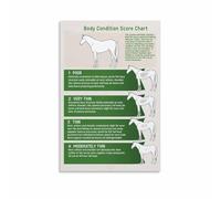 KCDFDVJFBM Veterinarian Guide for Horse Body Condition Score Chart and Equine Health(Framed,08x12inch(20x30cm))