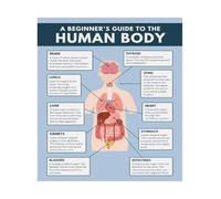 KCDFDVJFBM Vibrant Anatomy Art Human Body Educational Poster Chart for Science Classroom Study Room Office Decor Biology Learning Reference (Unframed,16X24inch(40X60cm))