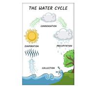 KCDFDVJFBM Water Cycle Process Poster Step by Step Illustration Clouds Rain Rivers Oceans Groundwater Canvas Wall-Art for Elementary Science Room(Unframed,16x24inch(40x60cm))