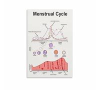 KCDFDVJFBM Womens Health Chart Menstrual Cycle and Hormone Phases Canvas Print Poster for Study Room Wellness Space(Unframed,12x18inch(30x45cm))
