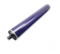 kcdVFmqhb Curl Error: The Requested URL Returned Error: 500 Internal Server Error(1X Black Drum)