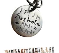 Kcsznk Divertida placa de identificación de acero inoxidable para mascotas, collar de perro personalizado con texto en inglés "Got Lost", etiqueta de identificación de mascota, Call My Mom Before She