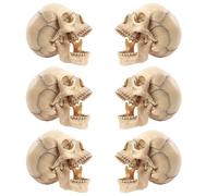 KCVC Craneo Modelo Anatomico Maqueta Craneo Anatomia con 15 Piezas Desmontables y Textura Clara y Ubicación Anatómica Precisa Craneo Desmontable Anatomia para Formación Médica y Artística