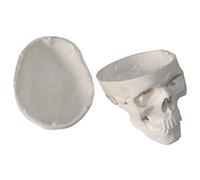 KCVC Maqueta Craneo Anatomia Craneo Humano con 3 Piezas Desmontables y Mordaza Móvil Modelo Craneo Humano para Estudiantes de Medicina y Enfermería y Artes