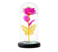 Kdemeng Rosas de Hoja de Oro conservadas en cúpula de Vidrio,Rosa eterna con luz led, Flores de cumpleaños para Mujeres,Día de la Madre de San Valentín Aniversario Acción de Gracias