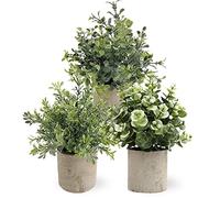 KDXYSL Artificial Plants in Pots Set of 3 - Small Plastic Fake Plants Indoor with Pot, Mini Faux Plants for Wall Desk Bedroom Decoration, C