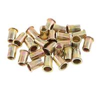 Keadic 100 tuercas de remache de acero al carbono M10 métricas chapadas en zinc (M10)