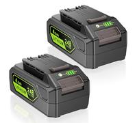 KEATFE Greenworks - Batería de repuesto para Greenworks (2 unidades, 24 V, 4 Ah, iones de litio, 24 V, 29842, 29852, BAG708, BAG711, 20352, 22232, 2508302)
