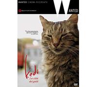 Kedi - La Citta' Dei Gatti [Italia] [DVD]