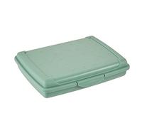 keeeper Recipiente para alimentos frescos con cierre de clic, 17 x 13 x 3,5 cm, 500 ml, Luca Mini, Verde Nordic