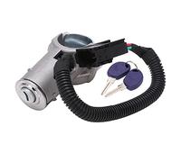 Keenso Cilindro de Cerradura de Encendido, Interruptor de Llave de Encendido de Aleación de Aluminio con 2 Llaves, Reemplazo para Daily MK4 2006 2012, OEM 2996075 2996076