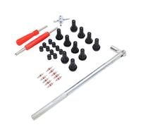 Keenso Extractor de Vástago de Válvula, Herramienta de Instalación de Extracción de Núcleo de Válvula con 10 Vástagos y Núcleos de TR412, 1 Herramienta de Cabezal Simple y 1 de