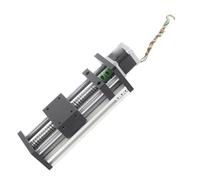 Keenso Riel Guía de Tornillo de Bola de Doble Eje de Movimiento Lineal, Efectiva de 100 Mm para Máquinas Herramienta Combinadas, Alta Rigidez (Tornillo 1605, Alcance Efectivo 100 mm.)