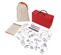 Keenso Rompecabezas de Cerebro, 20 Piezas de Alambre de Metal IQ Puzzle Set en Acero Al Carbono con Bolsa de Almacenamiento y Guía de Solución, Juegos de Lógica de Entrenamiento Mental para Niños,