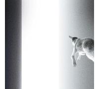 Keep Looking Where The Light Comes From