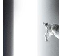 Keep Looking Where The Light Comes From (LP) [Vinilo]