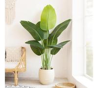 Keeplush Planta Artificial Ave del Paraíso 120 cm Planta Artificial Interior Alta con 9 Hojas, arbol Artificial Exterior Grande para Interior Casa salón Oficina dormitorios Jardín verandas (1Pack)