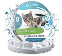 Keepo - Pulsera USB con Placa Satinada Turquesa Acqua Marina 16 GB