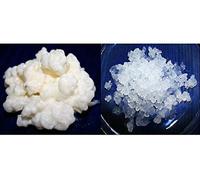 KEFIRALIA Pack 40g de Hongo de Kéfir de Leche + 100g de Hongo de Kéfir de Agua Frescos + Instrucciones + Recetas + Ayuda y Asesoramiento en español