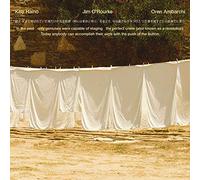 Keiji Haino, Jim O'Rourke & Oren Ambarchi - In The Past Only Geniuses...