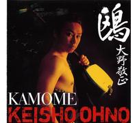 Keisho Ohno - Kamome