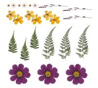 Kelisdi Juego de 18 piezas florales prensadas sostenibles para arreglos creativos y proyectos de estilo en el hogar, proyectos creativos de flores