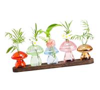 Kelisdi Maceta de escritorio de vidrio con soporte de madera, estación de propagación para pequeñas plantas hidropónicas, jarrones de terrario, decoración del hogar, maceta de hongos con soporte de