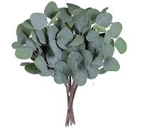 Kellegour 20 Piezas Planta de Eucalipto Artificial,Hojas de Eucalipto Artificiales,Ramas de Eucalipto Artificial,Hojas Eucalipto Decoracion para Centro de Mesa de Boda,Ramo Floral,Centro De Mesa
