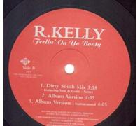 Kelly, R - Feeling on You Booty: The Remixes [Vinilo]