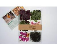 Keltenhof - Herbs Spirit Box - Deliciosas noticias para los amantes de los cócteles - 5 g