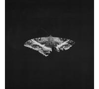 To Pimp A Butterfly 10 Ani 2 LP LTD - 2LP [Vinilo]