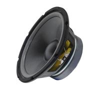 Kenford Hw 1006 250 MM 10 Pulgadas Hi-Fi-Bass Subwoofer 300 Vatios Máximo 8 Ohm