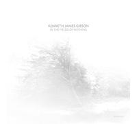 Kenneth James Gibson In the Fields of Nothing (Vinyl) 12" Album