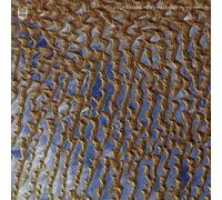 Kenney, Jessika & Eyvind Kang - Face of The Earth [Import] [Vinilo]