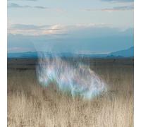 Kenniff Hollie - The Gathering Dawn [Vinilo]