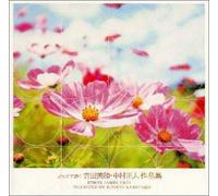 Kenny James Trio - Dreams Come True in Jazz