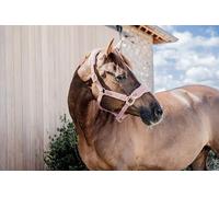 Cabestro para caballos polares Kentucky Teddy Cob