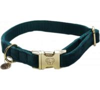 Kentucky Dogwear Collar para Perro "Velvet" - Emerald - XS (25-38 cm) Kentucky Dogwear