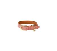 Kentucky Dogwear Collar para perros Nylon Trenzado - Naranja - M/L