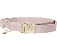 Kentucky Dogwear Collar para Perros "Velvet", Rosa - S (28-40) cm Kentucky Dogwear