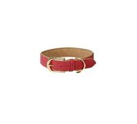 Kentucky Dogwear Collar Perro Nylon Trenzado - Azul Claro - XXS