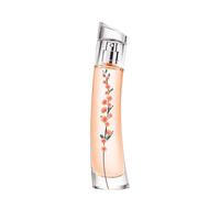 Flower Ikebana Mimosa 40ml