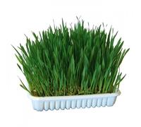 Kerbl Bandeja de Hierba para Roedores - Cantidad: 100 g