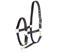 KERBL Caballo para sistema Goleygo, color marrón y azul claro