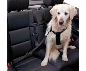 Kerbl Cinturón de Seguridad para Perro - Tamaño: L