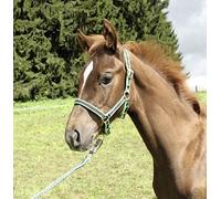 Kerbl Collar de Cabeza de Potro Ajustable, Verde, Unisex, 1 Count (Pack of 1)