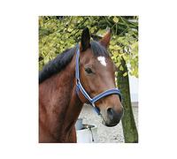 Kerbl Collar de Cabeza Exclusivo Unisex, Color Azul, Talla 1